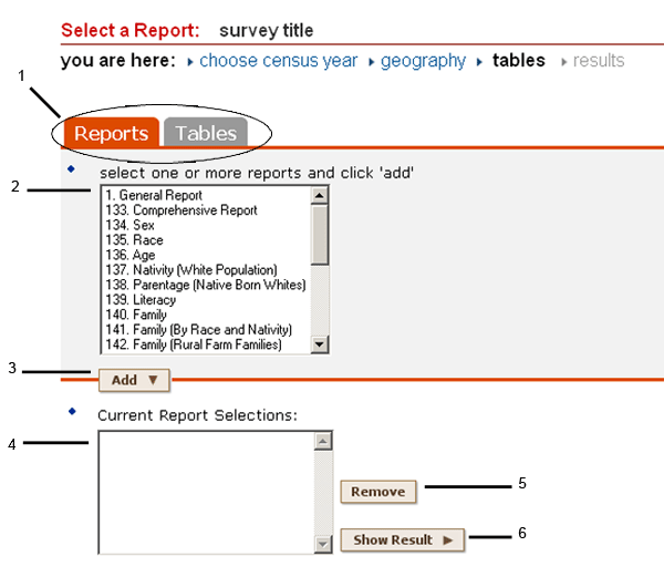 new-reports